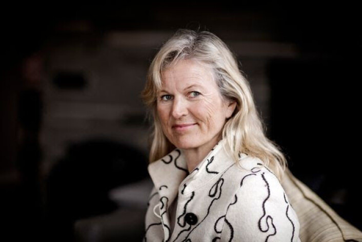 NHO reiseliv og direktør Kristin Krohn Devold mener det er for få som skatter av Airbnb-utleie. Foto: NHO reiseliv NHO reiseliv og direktør Kristin Krohn Devold mener det er for få som skatter av Airbnb-utleie. Foto: NHO reiseliv