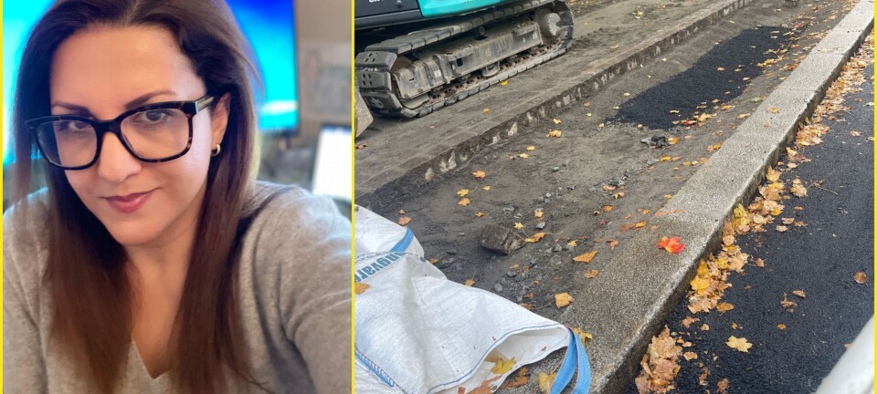 Farah (49) frustrert over fjerning av parkeringsplasser på Frogner: – Jeg er alenemor. Bil er nødvendig i hverdagen