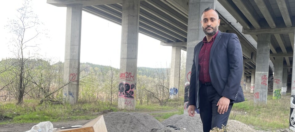 Ulovlige søppelhauger i Oslo blir større og flere: – Innføring av søppelavgift var et feilgrep