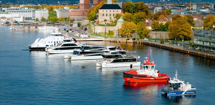Oslo havn: Dette spektakulære synet har du aldri sett før!