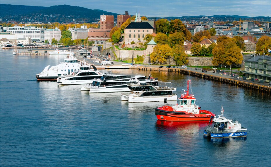 Oslo havn: Dette spektakulære synet har du aldri sett før!