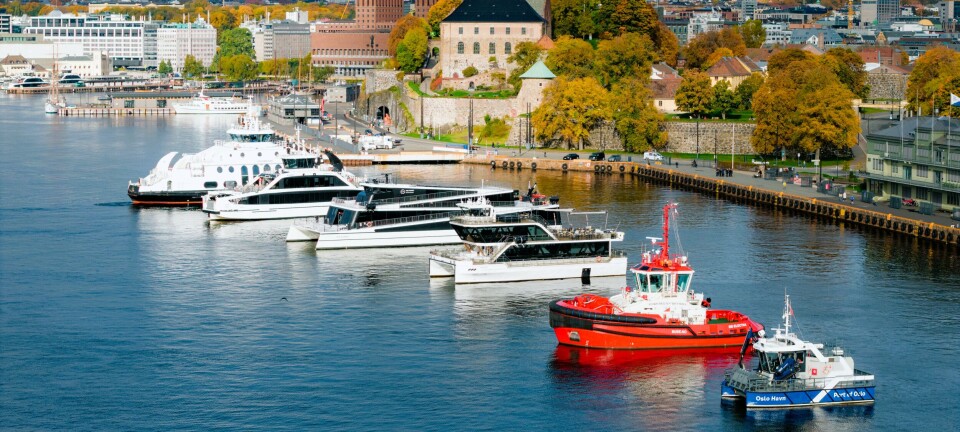 Oslo havn: Dette spektakulære synet har du aldri sett før!