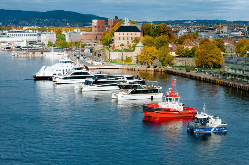 Oslo havn: Dette spektakulære synet har du aldri sett før!
