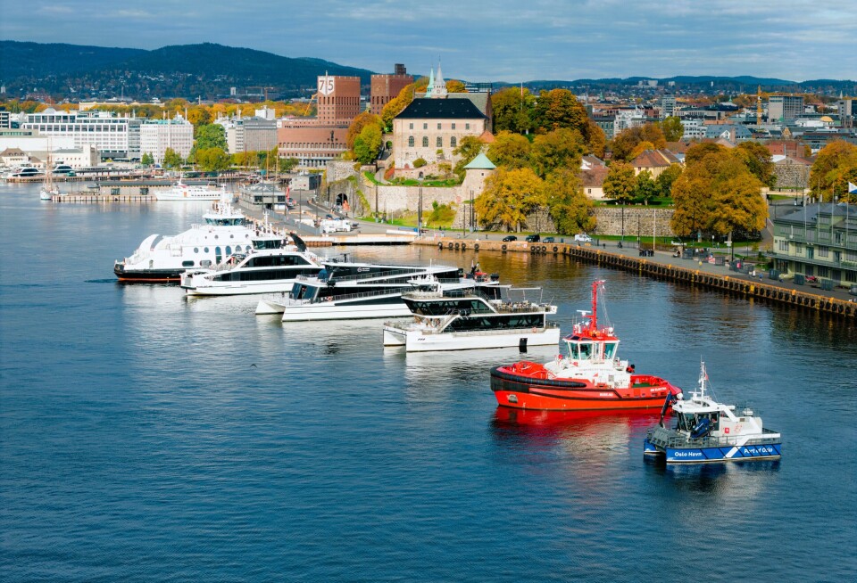 Oslo havn: Dette spektakulære synet har du aldri sett før!
