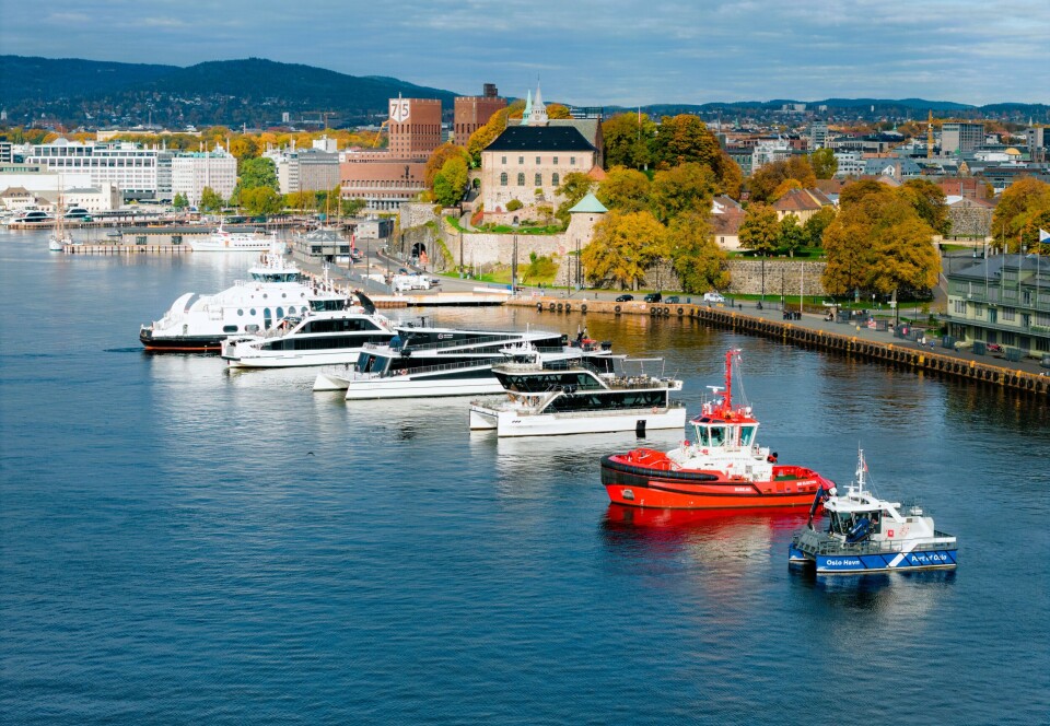 Oslo havn: Dette spektakulære synet har du aldri sett før!