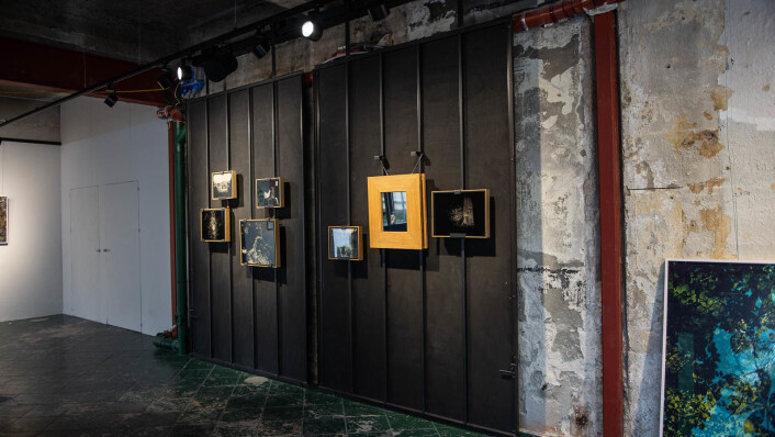 På Shoot Gallery kan du se et stort utvalg av gode fotokunstnere på én gang – og kjøpe verkene deres. Foto: Hilde Kari Nylund På Shoot Gallery kan du se et stort utvalg av gode fotokunstnere på én gang – og kjøpe verkene deres. Foto: Hilde Kari Nylund