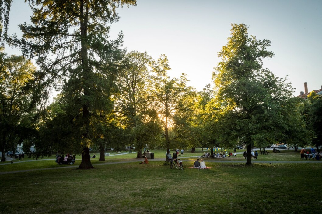 En ung tenåring er tiltalt for å ha voldtatt en kvinne i 40-årene i Sofienbergparken natt til torsdag 3. mai i fjor. Arkivfoto: Heiko Junge / NTB scanpix En ung tenåring er tiltalt for å ha voldtatt en kvinne i 40-årene i Sofienbergparken natt til torsdag 3. mai i fjor. Arkivfoto: Heiko Junge / NTB scanpix