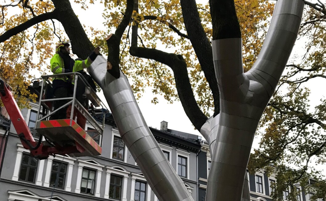 Lønnetreet er i ferd med å bli dekket av plater i rustfritt stål. Foto: Kulturbyrået Mesén Lønnetreet er i ferd med å bli dekket av plater i rustfritt stål. Foto: Kulturbyrået Mesén