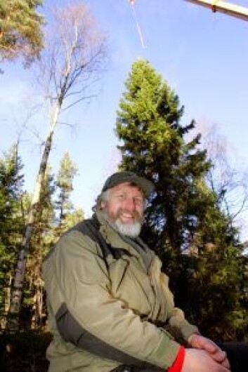 Skogoppsynsmann Håvard Pedersen har pekt ut julegrana som skal til London. Treet er 60 år gammelt, 22 meter høy og sto nær Årvollsåsen. Foto: Bjørn Sigurdsøn / SCANPIX Skogoppsynsmann Håvard Pedersen har pekt ut julegrana som skal til London. Treet er 60 år gammelt, 22 meter høy og sto nær Årvollsåsen. Foto: Bjørn Sigurdsøn / SCANPIX