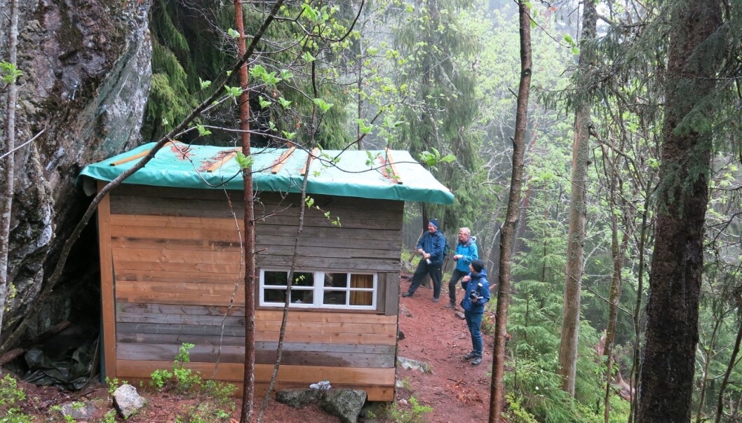 Uteliggerhytta på Grefsenåsen er restaurert og tilgjengelig for folk flest. Uteliggerhytta på Grefsenåsen er restaurert og tilgjengelig for folk flest.