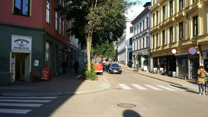 Tøyengata, som strekker seg fra Grønland og opp til Botanisk hage på Tøyen, er blitt frisørgata i byen. Foto: Åsmund Berge Tøyengata, som strekker seg fra Grønland og opp til Botanisk hage på Tøyen, er blitt frisørgata i byen. Foto: Åsmund Berge