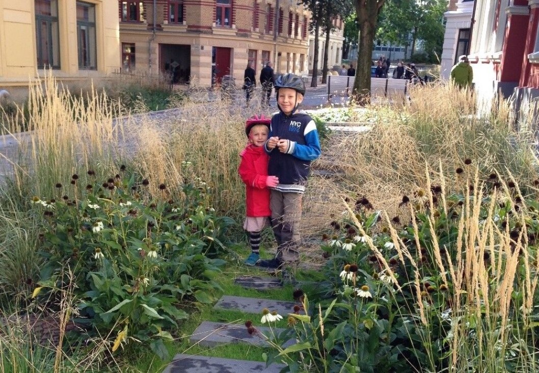 Et regnbed ser ikke bare pent ut, men øker også biologisk mangfoldet i hagen din og kan gir næring til bier. Foto: Isabel Seifert-Dähnn Et regnbed ser ikke bare pent ut, men øker også biologisk mangfoldet i hagen din og kan gir næring til bier. Foto: Isabel Seifert-Dähnn