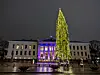 Julegrana på Universitetsplassen