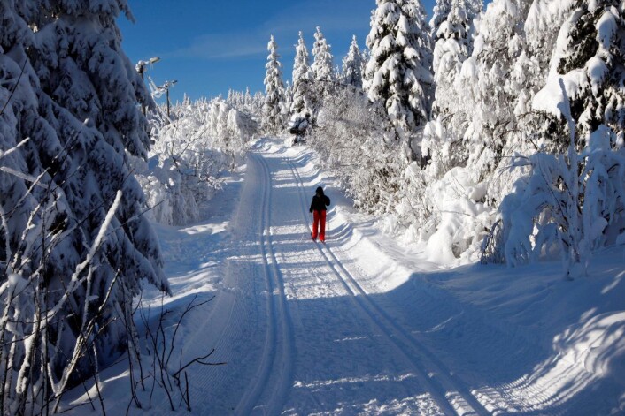 Det er nok en stund til det blir så idyllisk i Nordmarka. I mellomtiden kan folk bruke den forbedrede lysløypa med kunstsnø fra skistadion i Kollen og via Midtstua. Foto: Lise Åserud / SCANPIX Det er nok en stund til det blir så idyllisk i Nordmarka. I mellomtiden kan folk bruke den forbedrede lysløypa med kunstsnø fra skistadion i Kollen og via Midtstua. Foto: Lise Åserud / SCANPIX