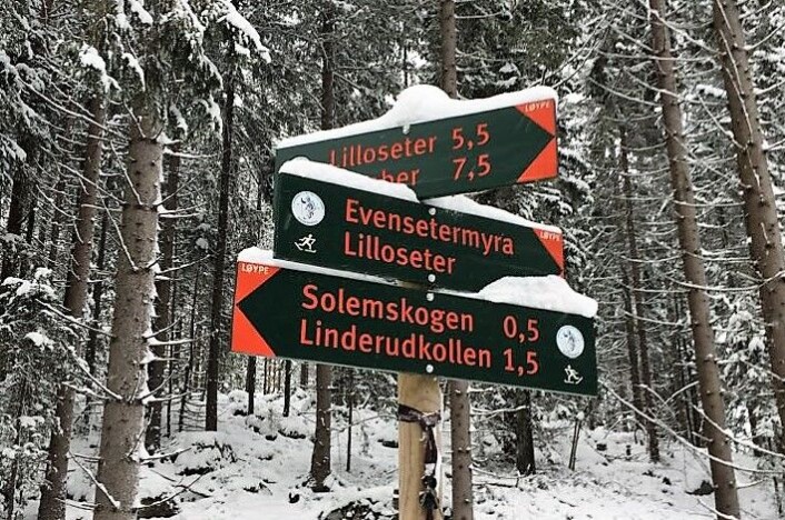 Den mye brukte skiløypa over Evensetermyra til Solemskogen og Liderudkollen er klar for skientusiaster. Foto: Atle Rømo Den mye brukte skiløypa over Evensetermyra til Solemskogen og Liderudkollen er klar for skientusiaster. Foto: Atle Rømo