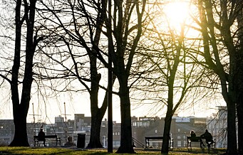 Oslo vil plante 100.000 trær innen 2030