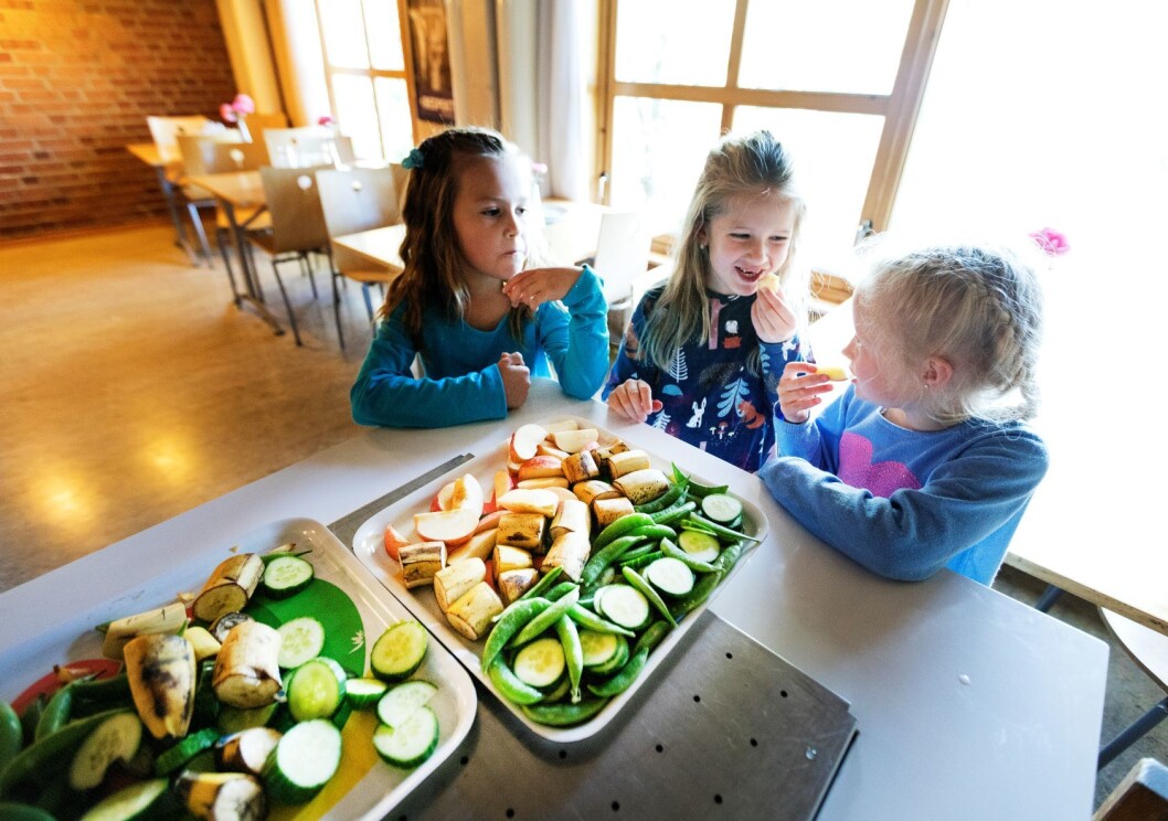 Nå har bystyret vedtatt at elevene skal få mat i løpet av skoledagen, riktig ikke kjøtt. Illustrasjonsfoto: Gorm Kallestad / NTB scanpix Nå har bystyret vedtatt at elevene skal få mat i løpet av skoledagen, riktig ikke kjøtt. Illustrasjonsfoto: Gorm Kallestad / NTB scanpix