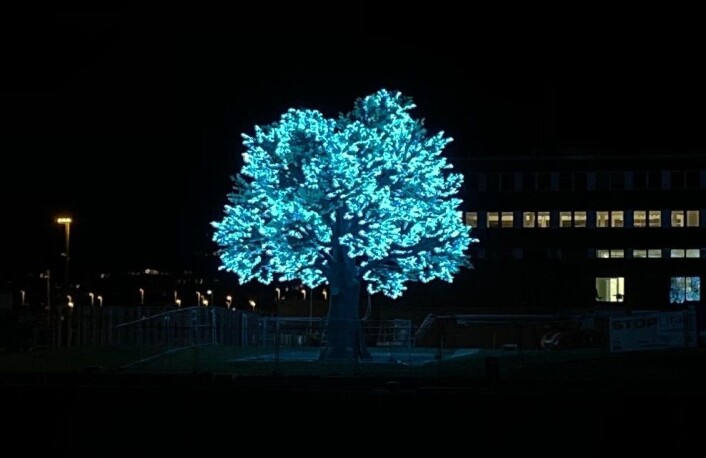 Det 14 meter høye og 12 meter brede treet Hagen har lånt ut til Oslo kommune har 125.000 LED-lamper. Foto: Canica AS Det 14 meter høye og 12 meter brede treet Hagen har lånt ut til Oslo kommune har 125.000 LED-lamper. Foto: Canica AS
