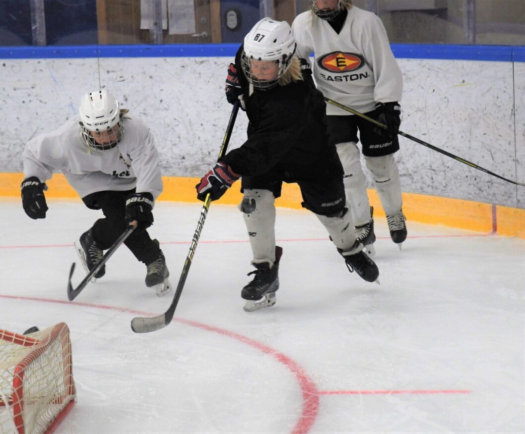 Sommeris er viktig for utviklingen av hockeysporten blant barn og unge i hovedstaden. � Nå må byrådet prioritere å beholde dette tilbudet også neste sommer, sier Høyres Pia Farstad von Hall. Illustrasjonsfoto: Christian Boger Sommeris er viktig for utviklingen av hockeysporten blant barn og unge i hovedstaden. � Nå må byrådet prioritere å beholde dette tilbudet også neste sommer, sier Høyres Pia Farstad von Hall. Illustrasjonsfoto: Christian Boger