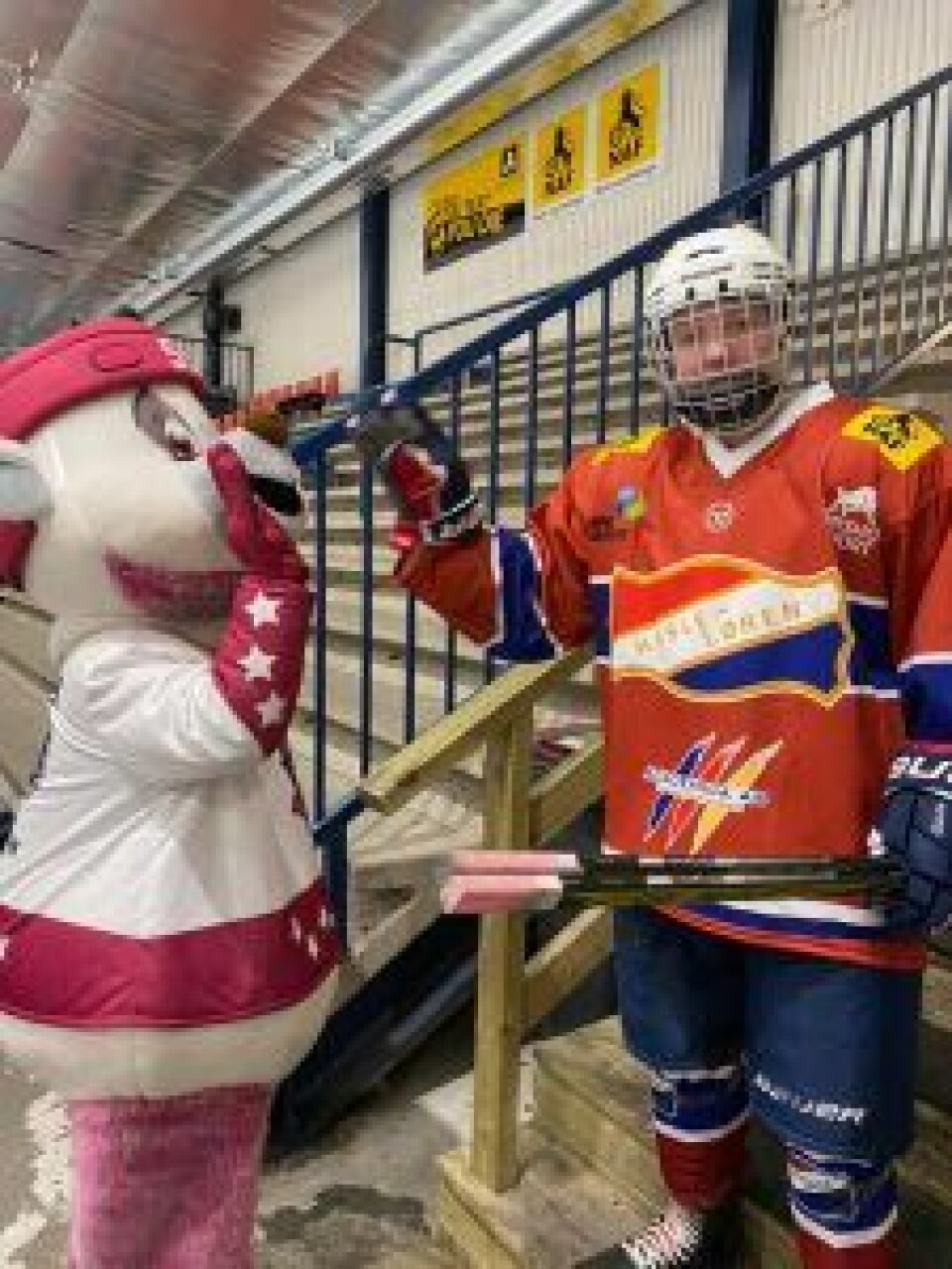 Hasle Løren er et av de mest aktive ishockeylagene i byen, sammen med Vålerenga, Grüner, Furuset og Manglerud Star. Foto: Kine Charlotte Bjerkland