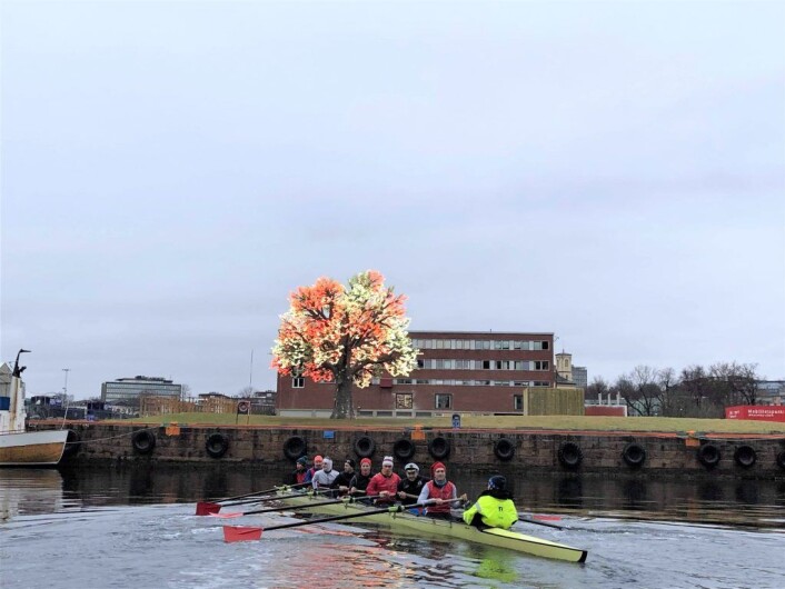 Det er mye spennende å se på langs Oslo havn for roerne, inkludert Stein Erik Hagens bokstavelig talt lysende tre på Filipstad. Foto: Hans Magnus Borge Det er mye spennende å se på langs Oslo havn for roerne, inkludert Stein Erik Hagens bokstavelig talt lysende tre på Filipstad. Foto: Hans Magnus Borge