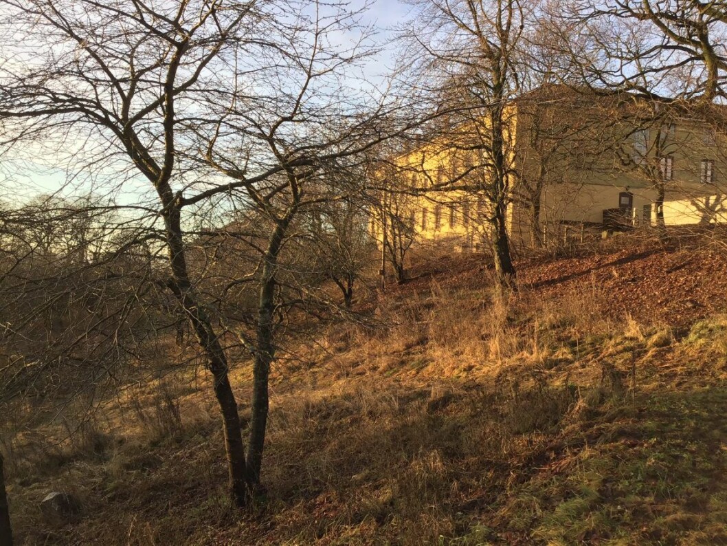 Deler av en eksisterende eplehage på Torshovtoppen. Den bør vedlikeholdes, bevares og gjøres tilgjengelig for allmennheten, mener Frode Oldereid. Foto: Frode Oldereid Deler av en eksisterende eplehage på Torshovtoppen. Den bør vedlikeholdes, bevares og gjøres tilgjengelig for allmennheten, mener Frode Oldereid. Foto: Frode Oldereid