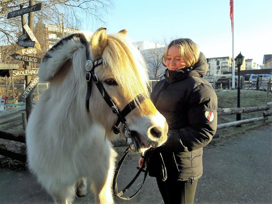 Blakken og Ayla skal ut på tur i nabolaget på Kampen. Så lenge bondegården er uten bil må turer til skogen vente. Foto: Anders Høilund Blakken og Ayla skal ut på tur i nabolaget på Kampen. Så lenge bondegården er uten bil må turer til skogen vente. Foto: Anders Høilund