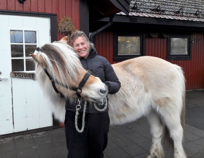Heidi Tønnesen, daglig leder ved Kampen økologiske barnebondegård, har hatt Blakken (31) i hele 24 år, og de er gode kollegaer. Foto: Anders Høilund Heidi Tønnesen, daglig leder ved Kampen økologiske barnebondegård, har hatt Blakken (31) i hele 24 år, og de er gode kollegaer. Foto: Anders Høilund