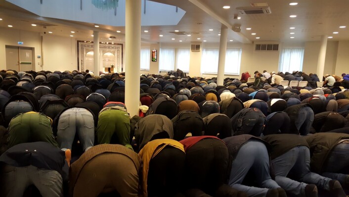 Muslimsk bønn består av både ord og bevegelser. Foto: Tarjei Kidd Olsen Muslimsk bønn består av både ord og bevegelser. Foto: Tarjei Kidd Olsen