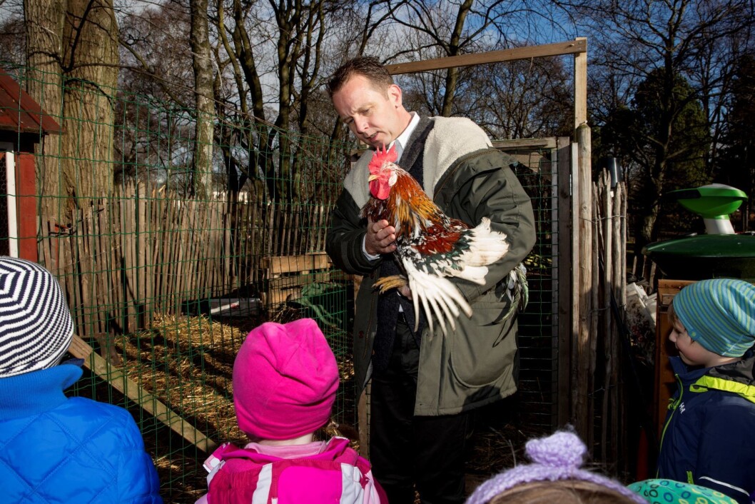 Kokk Andreas Viestad på Barnehagedagen med barn fra Steinrøysa barnehage på Geitmyra matkultursenter. Foto: Håkon Mosvold Larsen / NTB scanpix Kokk Andreas Viestad på Barnehagedagen med barn fra Steinrøysa barnehage på Geitmyra matkultursenter. Foto: Håkon Mosvold Larsen / NTB scanpix