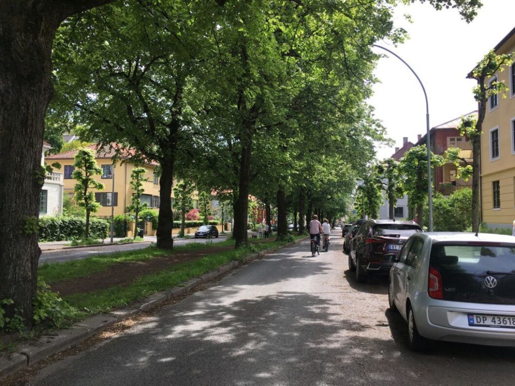 Kan ridealléen benyttes som sykkelsti, spør artikkelforfatteren. Foto: tips@vartoslo.no Kan ridealléen benyttes som sykkelsti, spør artikkelforfatteren. Foto: tips@vartoslo.no