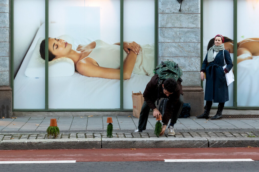 Mange nysgjerrige blikk når den spanske kunstneren Ampparito plantet sine opp-ned planter. Foto: Henrik Haven Mange nysgjerrige blikk når den spanske kunstneren Ampparito plantet sine opp-ned planter. Foto: Henrik Haven