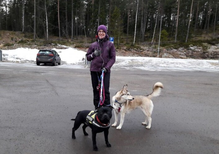 På tur i Oslomarka med hunder. � Jeg liker godt å gå på ski, sykle eller løpe med hunden min, Preston (grå). I dag har vi med bestevennen Odi (svart), og da er det best å gå på beina, sier Magdalena Stanczuk. Foto: Anders Høilund På tur i Oslomarka med hunder. � Jeg liker godt å gå på ski, sykle eller løpe med hunden min, Preston (grå). I dag har vi med bestevennen Odi (svart), og da er det best å gå på beina, sier Magdalena Stanczuk. Foto: Anders Høilund