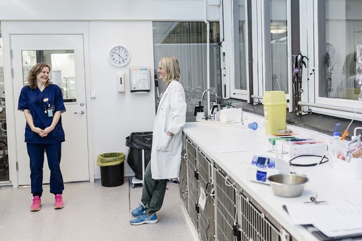 Dyrepleier Lotte Poulsen på Veterinærhøyskolen forteller spesialistkandidat Vanessa Bettembourg om dyrs forskjellige reaksjoner når de våkner av narkosen. Foto: Stine Raastad Dyrepleier Lotte Poulsen på Veterinærhøyskolen forteller spesialistkandidat Vanessa Bettembourg om dyrs forskjellige reaksjoner når de våkner av narkosen. Foto: Stine Raastad
