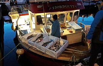 Oslo Havn halverer havneleien for fiskebåtene i 2020