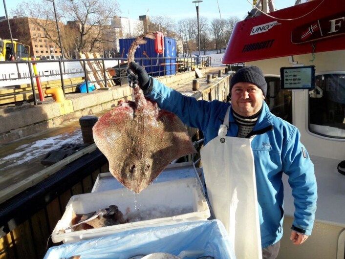 Mange kunder vet at fiskerne har med fangst det kan være vanskelig å finne i fiskeforretninger. Her tilbyr Christian Rochstad ei flott piggskate, fanget på dypt vann utenfor Horten. Foto: Andes Høilund Mange kunder vet at fiskerne har med fangst det kan være vanskelig å finne i fiskeforretninger. Her tilbyr Christian Rochstad ei flott piggskate, fanget på dypt vann utenfor Horten. Foto: Andes Høilund