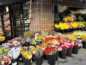 Mevlana Frukt & Grønt
