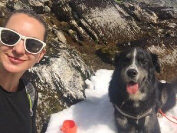 Kan dere vurdere å hjelpe Bror med et sted der han kan leke trygt med de andre firbeinte vennene sine i parken på St. Hanshaugen, spør Esther Amb Pettersen. Foto: Privat Kan dere vurdere å hjelpe Bror med et sted der han kan leke trygt med de andre firbeinte vennene sine i parken på St. Hanshaugen, spør Esther Amb Pettersen. Foto: Privat