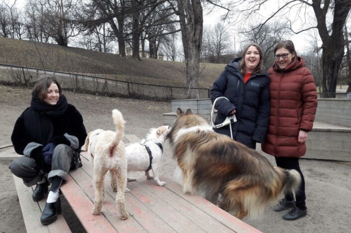 Christine Nøtnes, Andrea Isaachen Olvin og hundeforeningens leder, Hilde Andersen er opprørt, og svært overasket over at bydelen velger å stenge hundeparken helt. Foto: Anders Høilund Christine Nøtnes, Andrea Isaachen Olvin og hundeforeningens leder, Hilde Andersen er opprørt, og svært overasket over at bydelen velger å stenge hundeparken helt. Foto: Anders Høilund