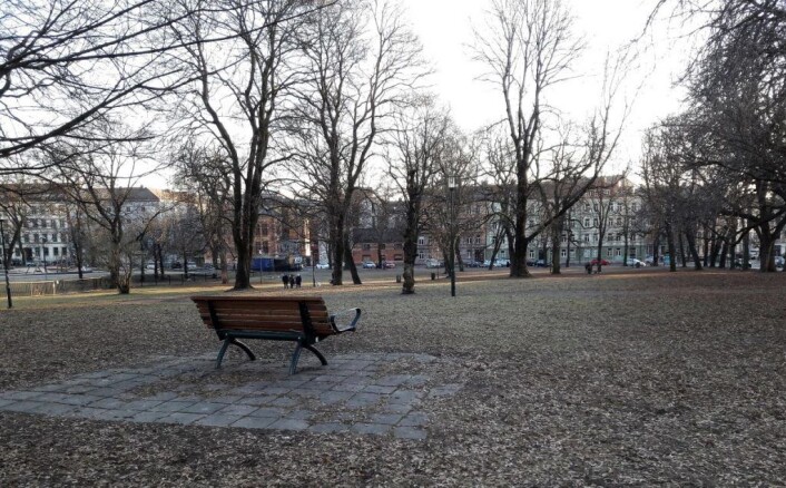 Det er i denne delen av Sofienbergparken at forslaget om en inngjerdet hundeluftegård har kommet. Foto: Anders Høilund Det er i denne delen av Sofienbergparken at forslaget om en inngjerdet hundeluftegård har kommet. Foto: Anders Høilund