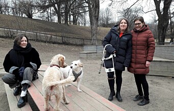 Bydel St. Hanshaugen søker nå råd hos hundeforening om hundepark. Går ikke i samme fella igjen