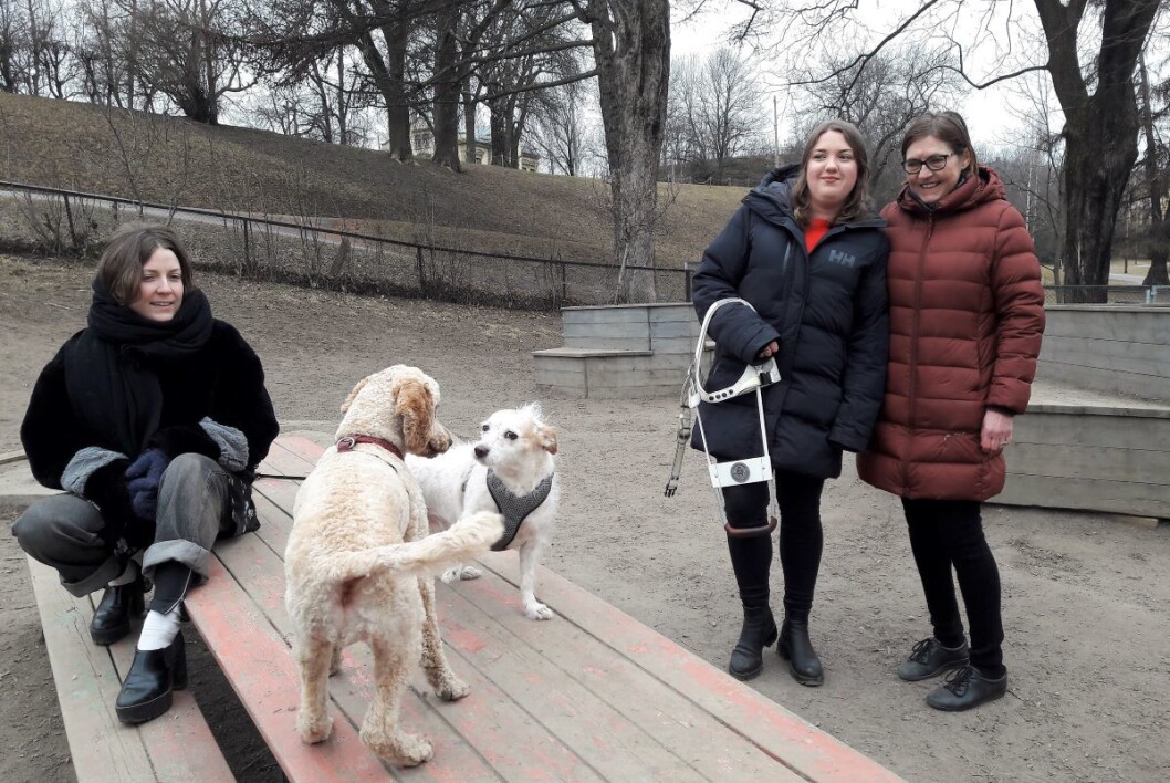 Reaksjonene etter VårtOslos omtale av nedleggelsen av Stensparken hundepark har vært en vekker. Nå utreder bydelen nye hundeparker. Foto: Anders Høilund Reaksjonene etter VårtOslos omtale av nedleggelsen av Stensparken hundepark har vært en vekker. Nå utreder bydelen nye hundeparker. Foto: Anders Høilund