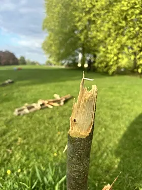 Skadeverk i Torshovparken.