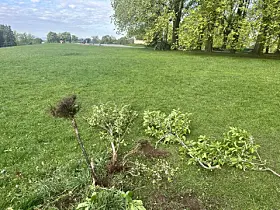 Skadeverk i Torshovparken.