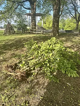 Skadeverk i Torshovparken.
