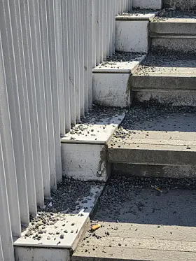 Ensjø stasjon