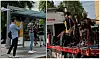 Makosir rappet fra lastebilen gjennom Oslos gater: – Aldri hatt en så gøy konsert før