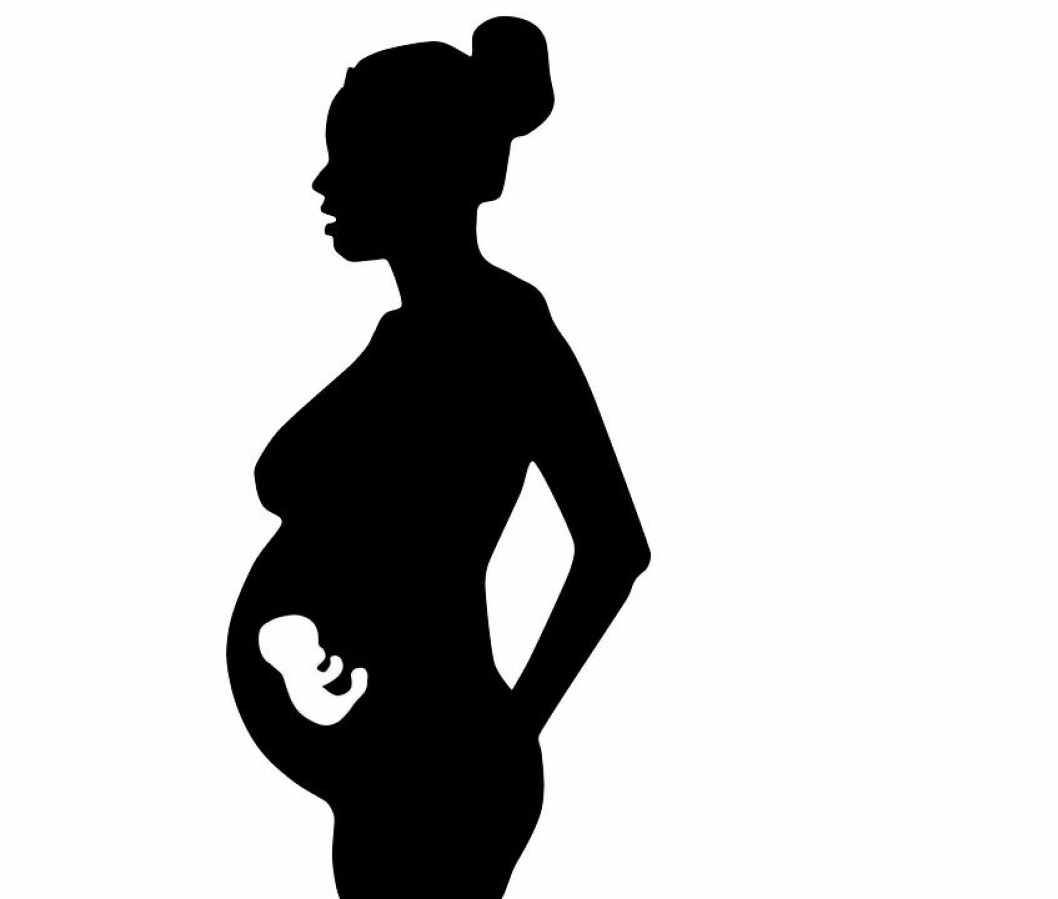 Femtiåringen ble siktet for å ha sagt at den gravide somaliske kvinnen bar på en ape. Illustrasjon: Pixabay