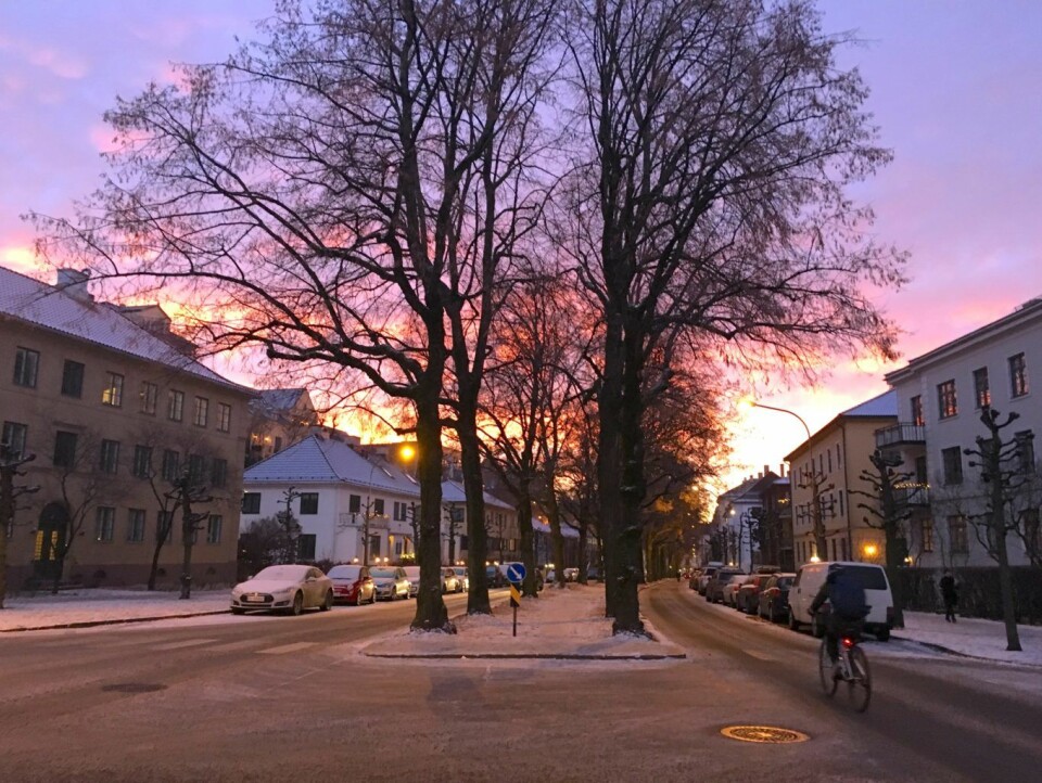 Innbyggere i området rundt Gyldenløves gate på Frogner mener det er uproblematisk for syklister i dag. Foto: Ingalill Sandal