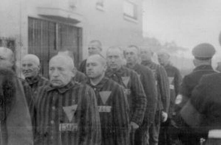 Fanger i Sachshenhausen konsentrasjonsleir i 1938, fem år før Chen Te Hu ble sendt dit fra Grini fangeleir i Norge. Foto: Ukjent, Heinrich Hoffman collection, via Wikimedia Commons Fanger i Sachshenhausen konsentrasjonsleir i 1938, fem år før Chen Te Hu ble sendt dit fra Grini fangeleir i Norge. Foto: Ukjent, Heinrich Hoffman collection, via Wikimedia Commons
